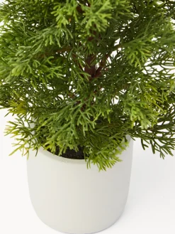 coincasa Altre Decorazioni Natalizie|Alberi Di Natale|Alberello con pigne e vaso Verde