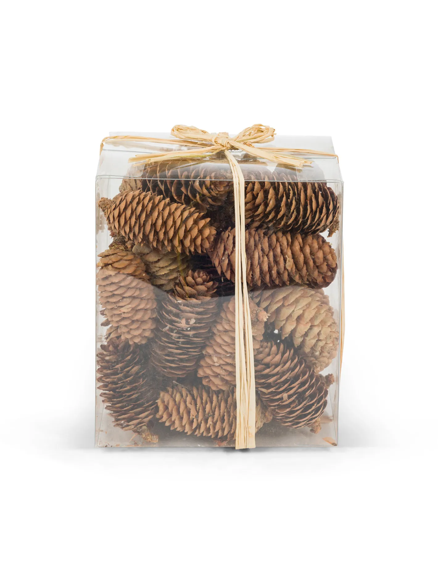 coincasa Altre Decorazioni Natalizie|Altre Decorazioni|Box con pigne Marrone