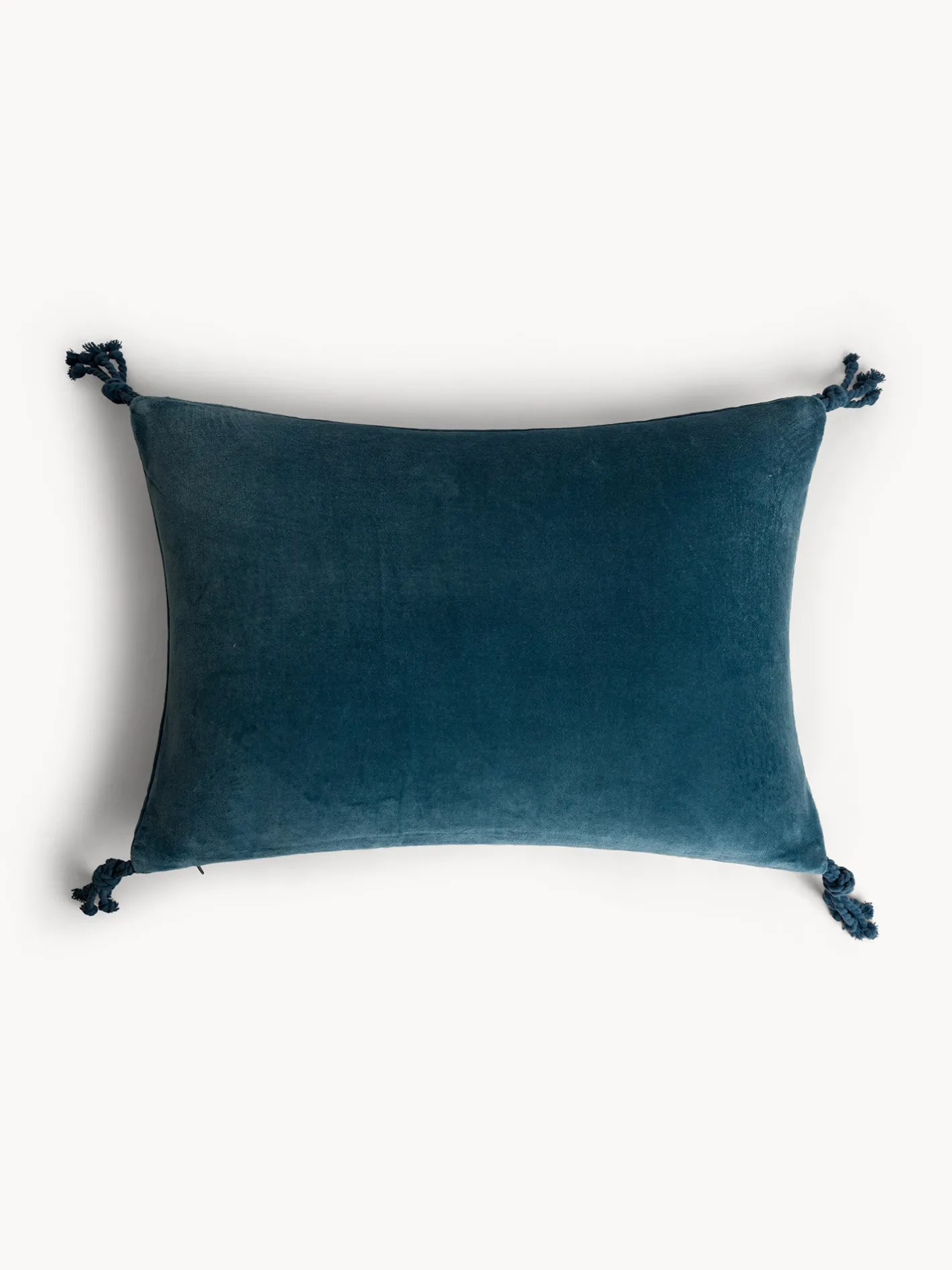 coincasa Cuscini|Cuscini Divano|Cuscino 35x50 cm in velluto con applicazioni Blu avio