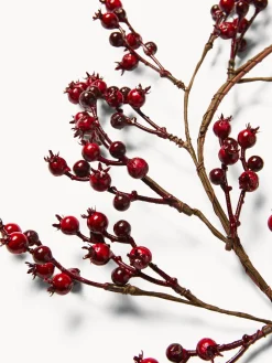 coincasa Ghirlande Natalizie|Ghirlanda con bacche rosse Rosso