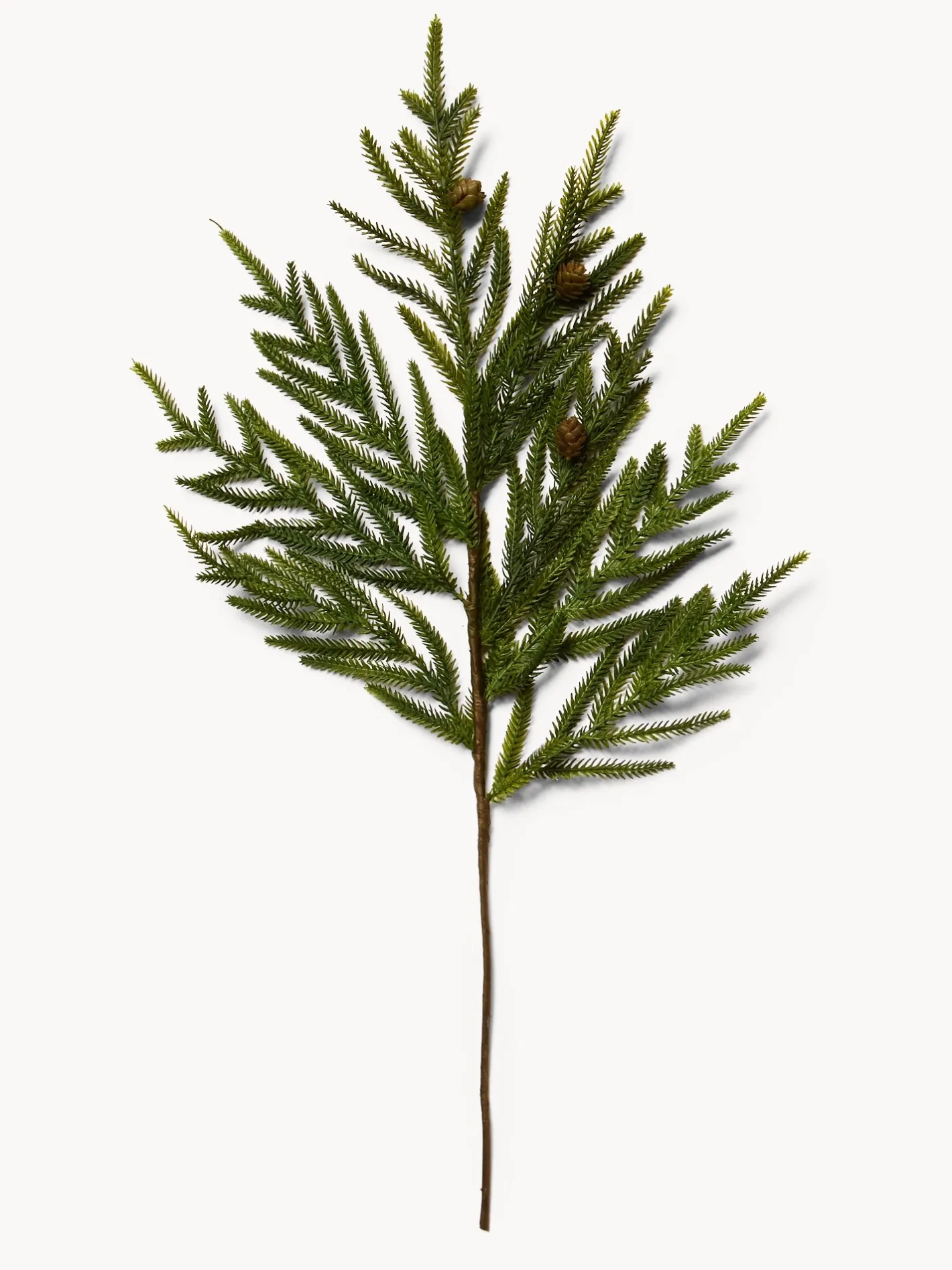 coincasa Altre Decorazioni Natalizie|Rametto cryptomeria con pigne Verde
