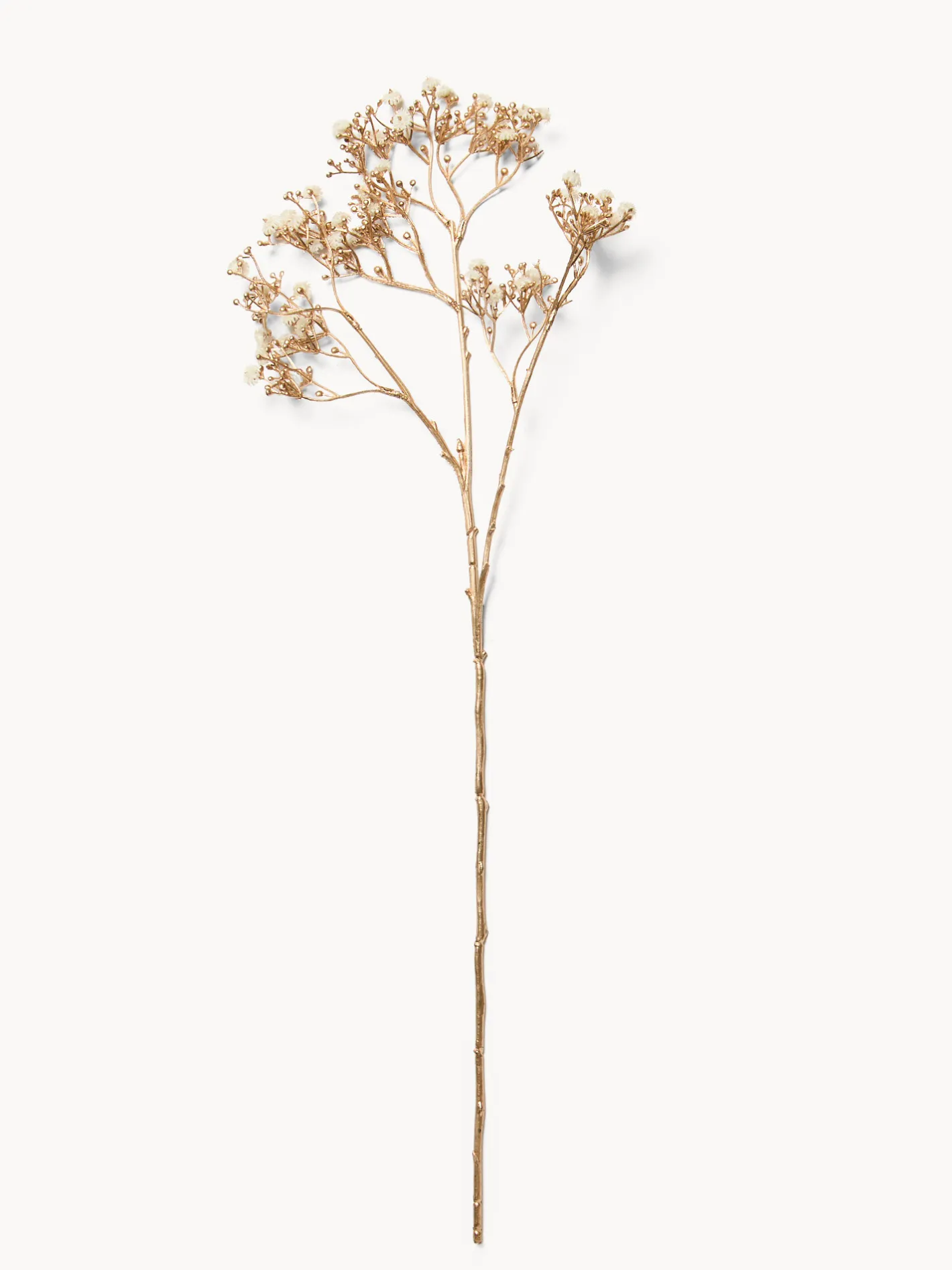 coincasa Altre Decorazioni Natalizie|Ramo di gisofilia Oro