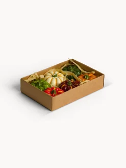 coincasa Candele E Diffusori|Set 6 candeline a zucca Multicolor